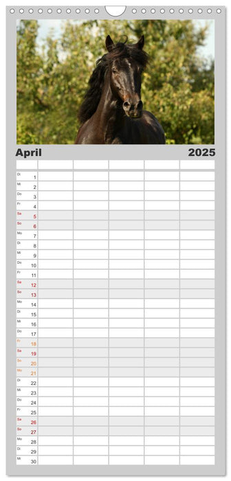 Pferde - im Galopp durch's Jahr (CALVENDO Familienplaner 2025)