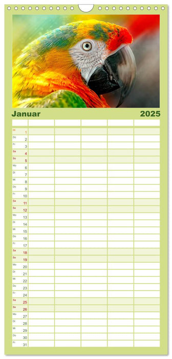 Mein bunter Papagei (CALVENDO Familienplaner 2025)