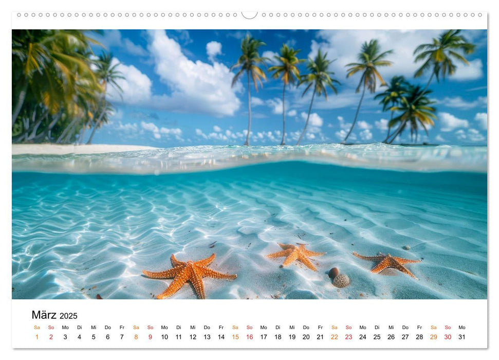 Mein Strand - ein Traum (CALVENDO Premium Wandkalender 2025)