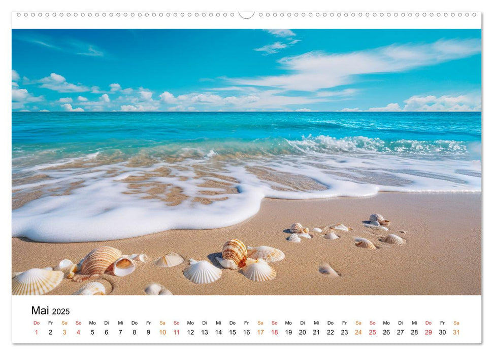 Mein Strand - ein Traum (CALVENDO Premium Wandkalender 2025)