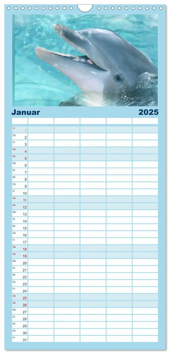 Delfine - Kalender (CALVENDO Familienplaner 2025)