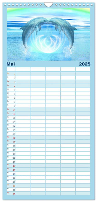 Delfine - Kalender (CALVENDO Familienplaner 2025)