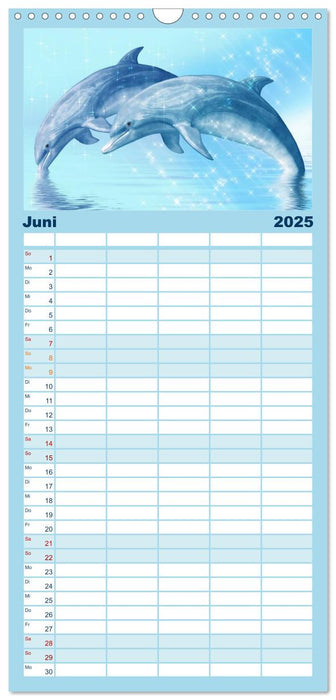 Delfine - Kalender (CALVENDO Familienplaner 2025)