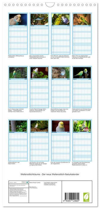 Wellensittichträume - Der neue Wellensittich-Naturkalender (CALVENDO Familienplaner 2025)