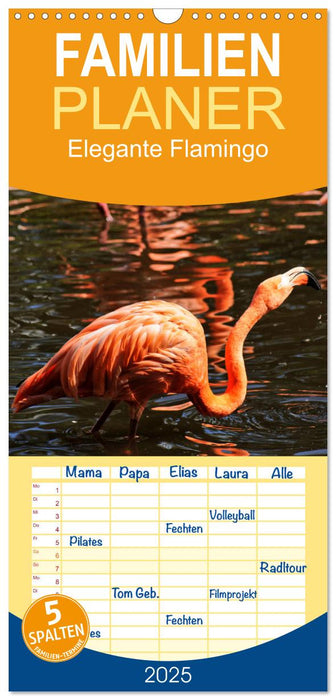 Elegante Flamingo (CALVENDO Familienplaner 2025)