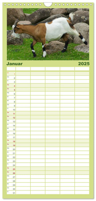 Tiere auf dem Bauernhof (CALVENDO Familienplaner 2025)