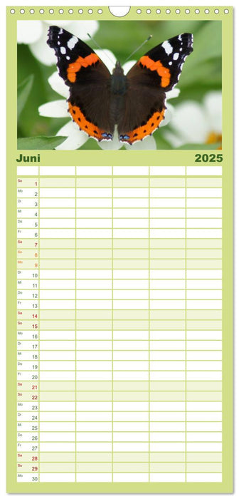 Heimische Insekten Welten (CALVENDO Familienplaner 2025)