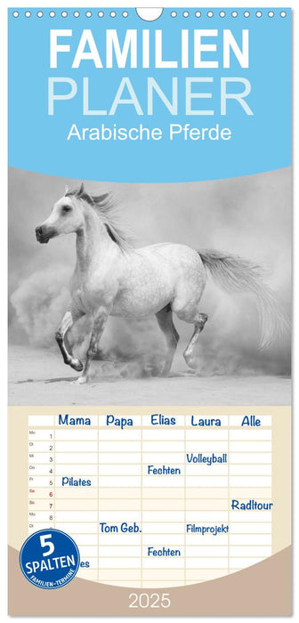 Arabische Pferde (CALVENDO Familienplaner 2025)