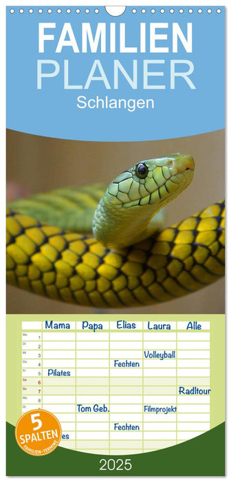 Schlangen (CALVENDO Familienplaner 2025)
