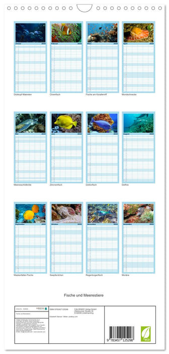 Fische und Meerestiere (CALVENDO Familienplaner 2025)