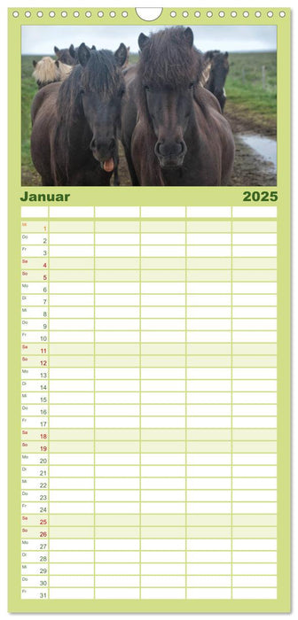Charakterköpfe Islandpferde (CALVENDO Familienplaner 2025)