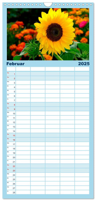 Sonnenblumen 2025 (CALVENDO Familienplaner 2025)