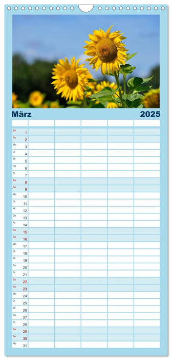 Sonnenblumen 2025 (CALVENDO Familienplaner 2025)
