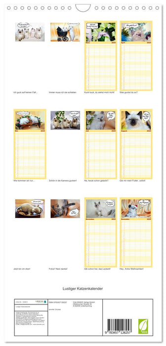 Lustiger Katzenkalender (CALVENDO Familienplaner 2025)