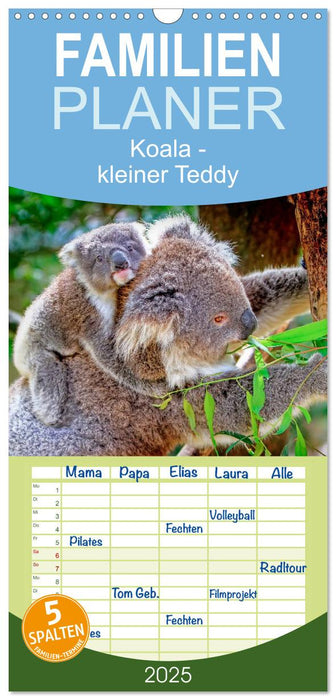 Koala - kleiner Teddy (CALVENDO Familienplaner 2025)