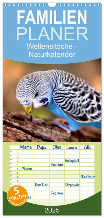 Wellensittiche - Naturkalender (CALVENDO Familienplaner 2025)