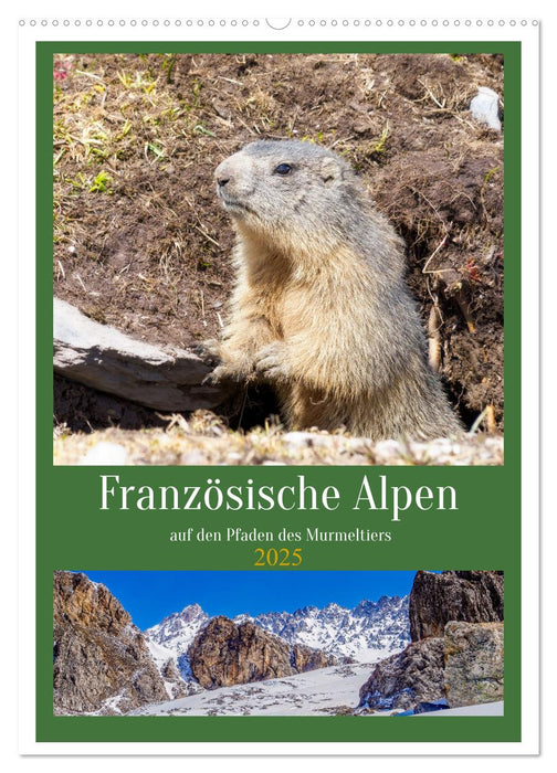 Französische Alpen, auf den Pfaden des Murmeltiers (CALVENDO Wandkalender 2025)