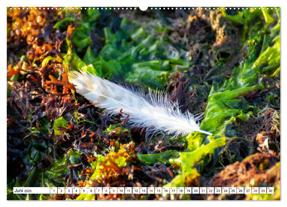 Normandie Die Farben der Ebbe (CALVENDO Wandkalender 2025)