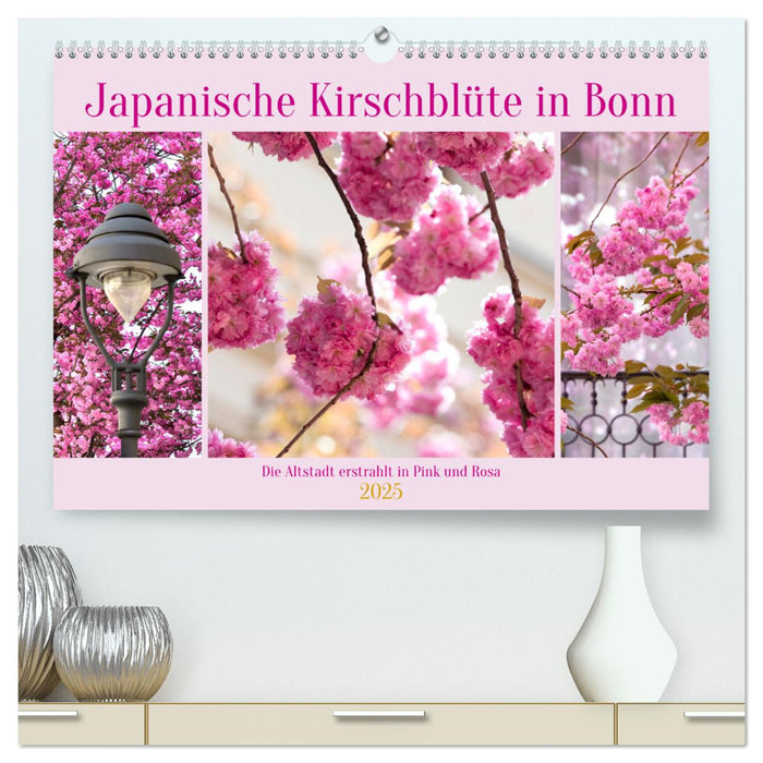 Japanische Kirschblüte in Bonn (CALVENDO Premium Wandkalender 2025)