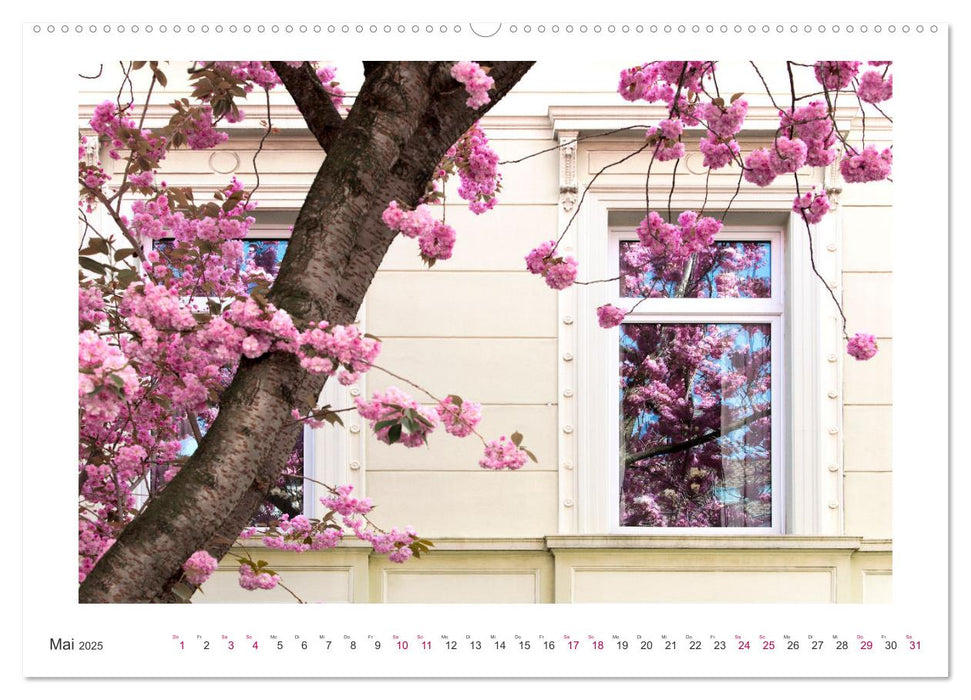 Japanische Kirschblüte in Bonn (CALVENDO Premium Wandkalender 2025)