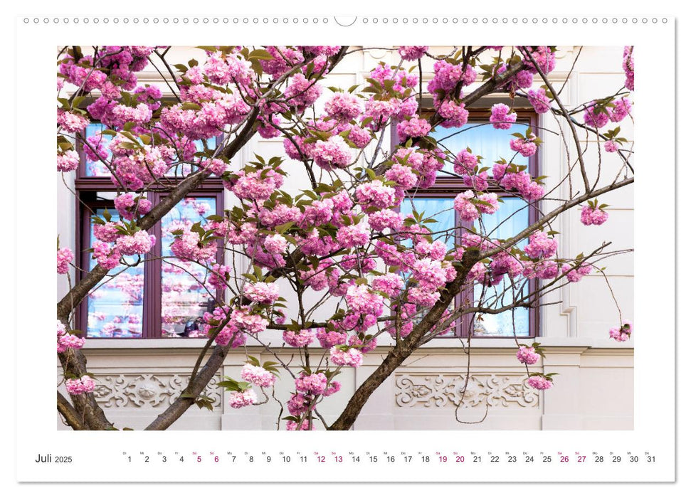 Japanische Kirschblüte in Bonn (CALVENDO Premium Wandkalender 2025)