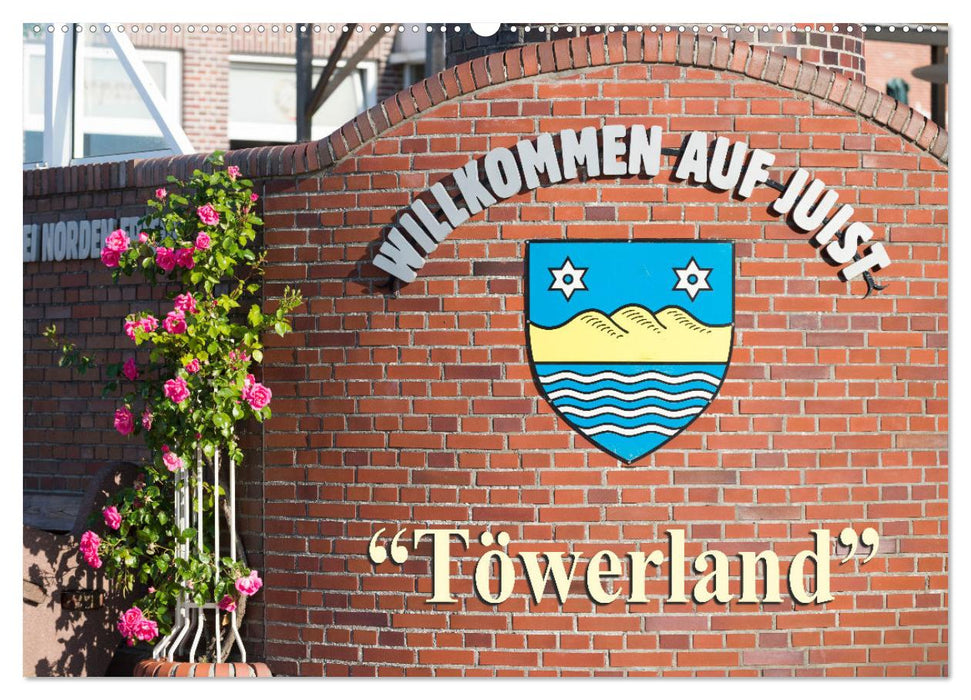 "Töwerland" Juist (CALVENDO Wandkalender 2025)