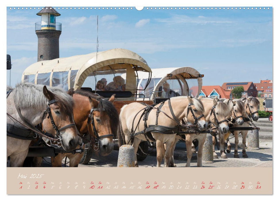 "Töwerland" Juist (CALVENDO Wandkalender 2025)