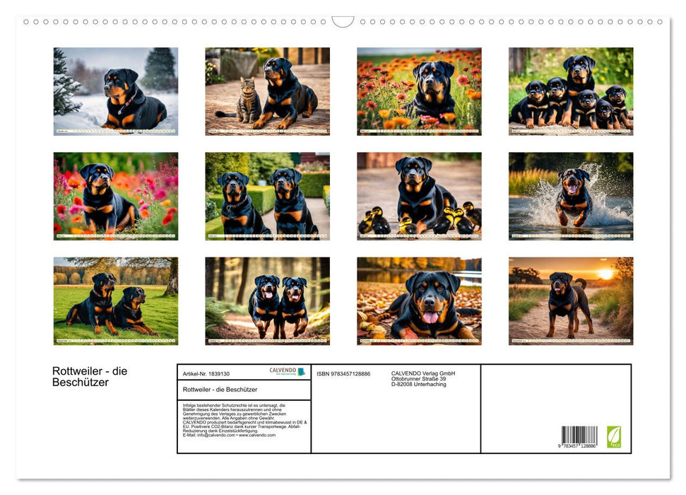 Rottweiler - die Beschützer (CALVENDO Wandkalender 2025)