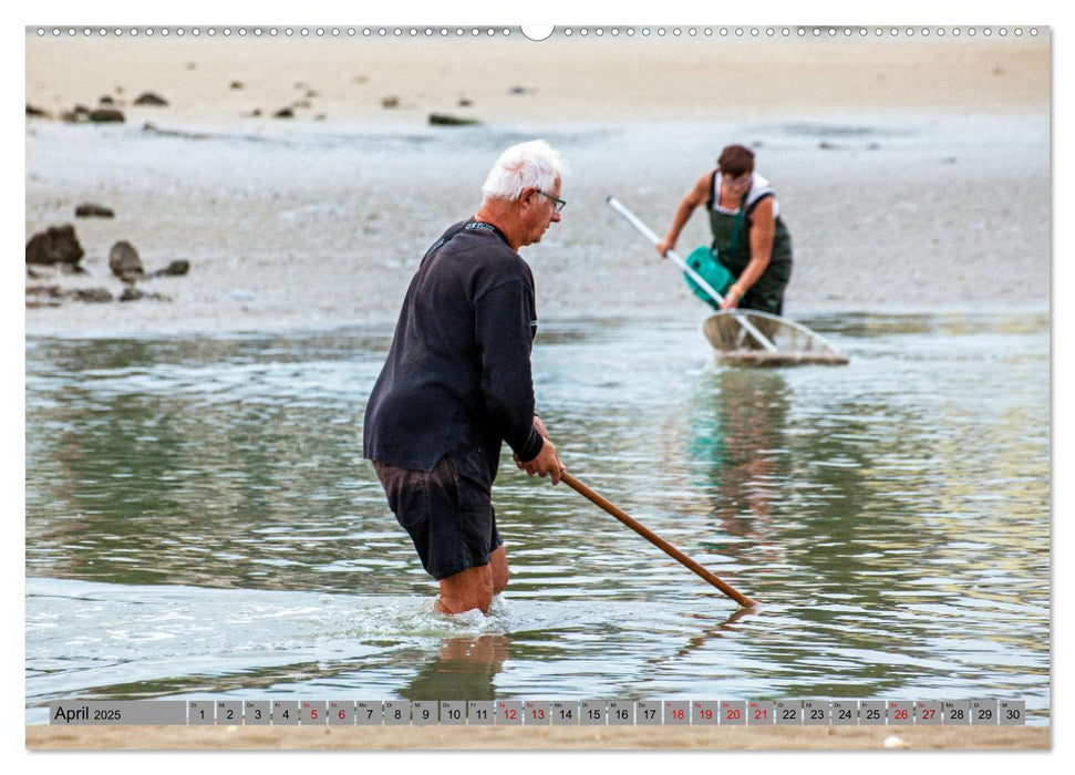 Bretagne und Normandie - Vor der Flut beobachten und entdecken (CALVENDO Premium Wandkalender 2025)