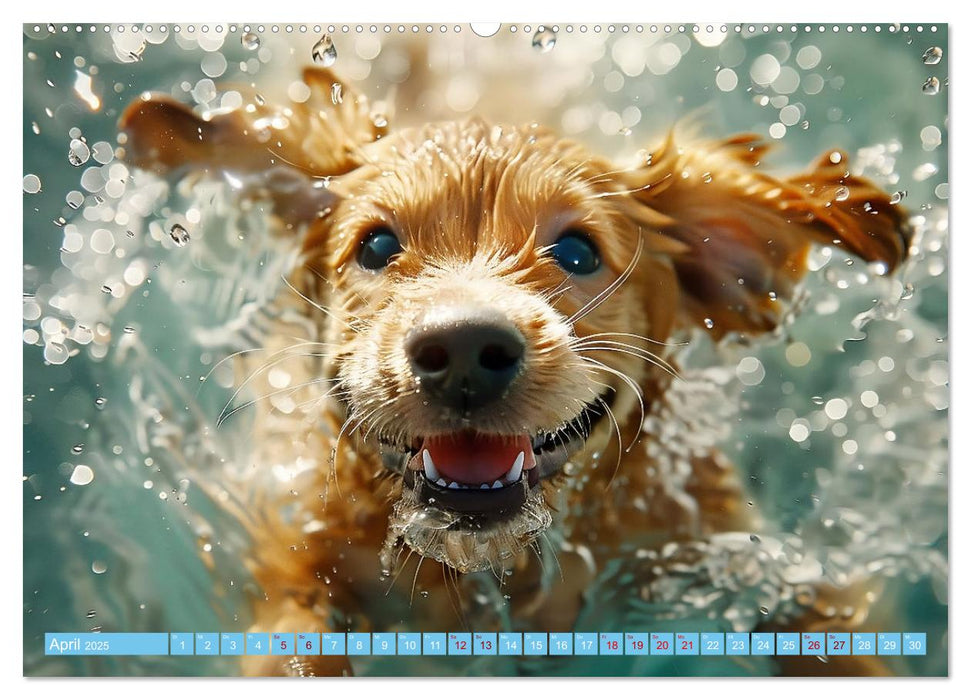 Hunde und Wasser (CALVENDO Wandkalender 2025)