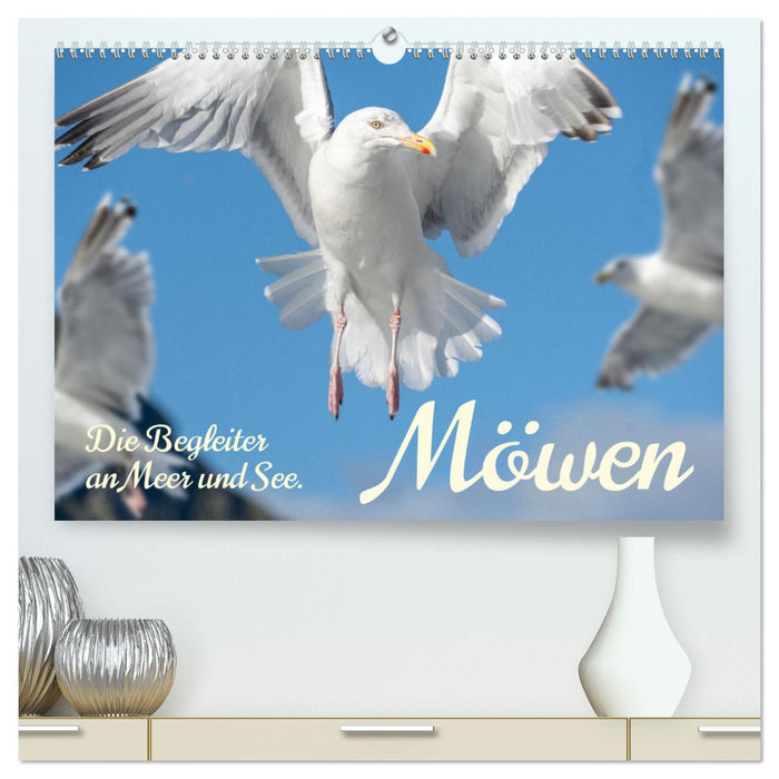 Möwen die Begleiter an Meer und See (CALVENDO Premium Wandkalender 2025)