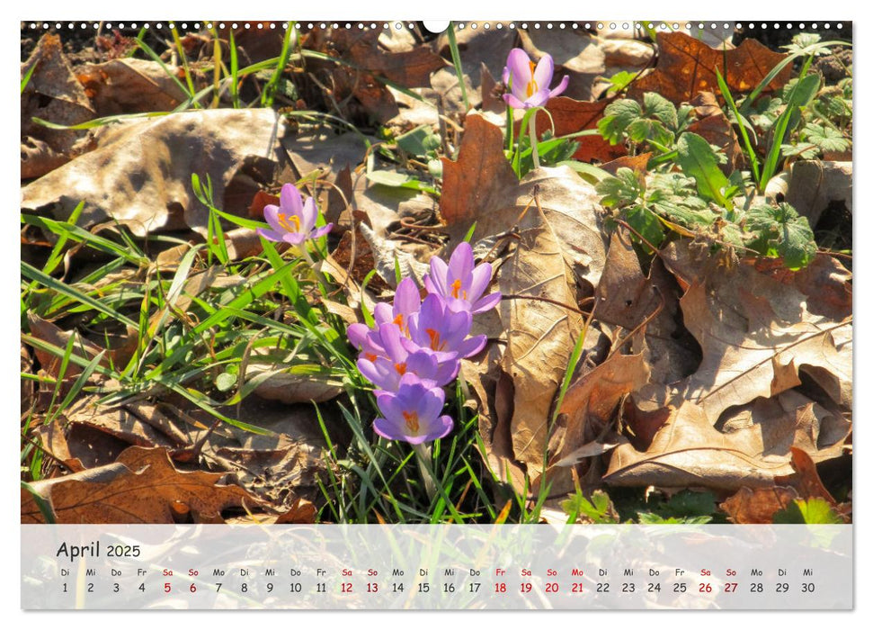 Vier Jahreszeiten - Eine Welt (CALVENDO Wandkalender 2025)