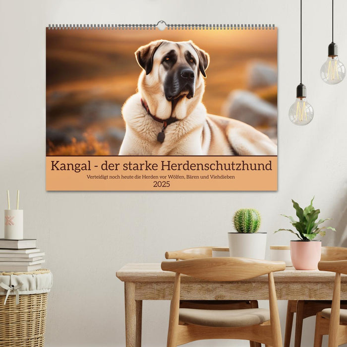Kangal - der starke Herdenschutzhund (CALVENDO Wandkalender 2025)