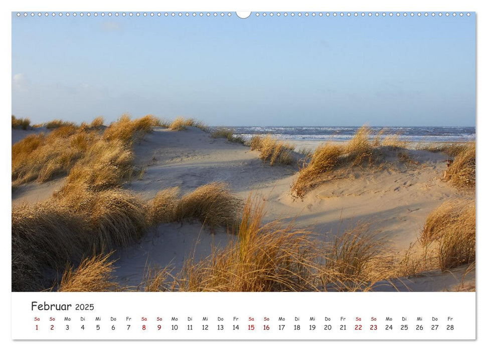 Insel Träumereien (CALVENDO Premium Wandkalender 2025)