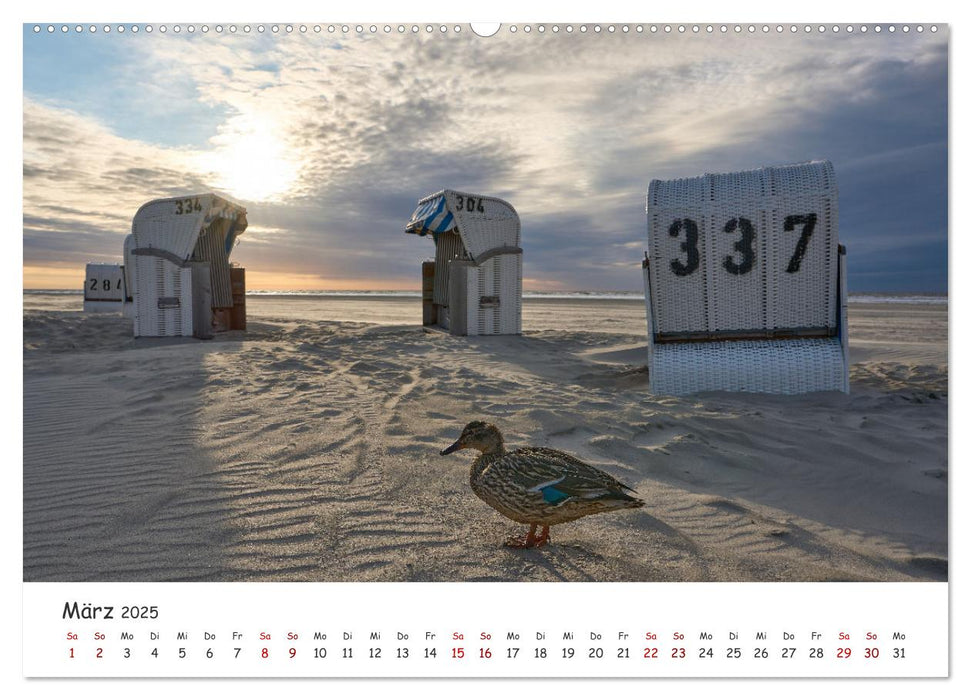 Insel Träumereien (CALVENDO Premium Wandkalender 2025)