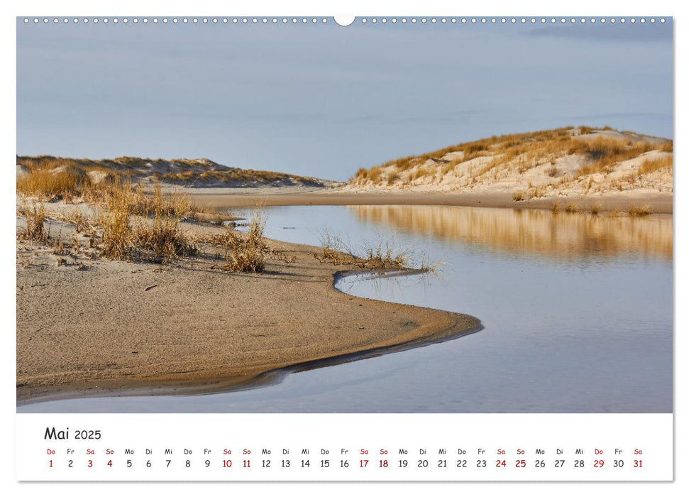 Insel Träumereien (CALVENDO Premium Wandkalender 2025)