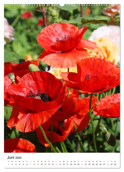 Ein Jahr voller Blumen (CALVENDO Wandkalender 2025)