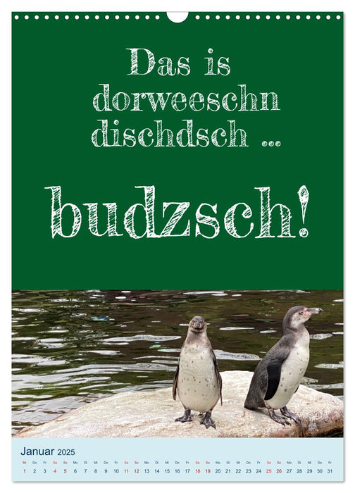Ni schwäbborn! Mundart und Dialekt Kalender Sachsen (CALVENDO Wandkalender 2025)