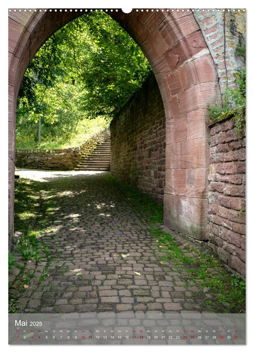 Miltenberg am Mainviereck (CALVENDO Wandkalender 2025)