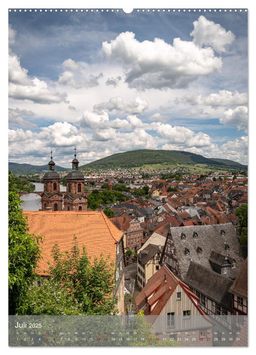 Miltenberg am Mainviereck (CALVENDO Premium Wandkalender 2025)