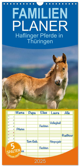 Haflinger Pferde in Thüringen (CALVENDO Familienplaner 2025)