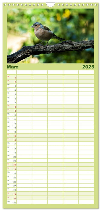 Vögel in heimischen Wäldern (CALVENDO Familienplaner 2025)