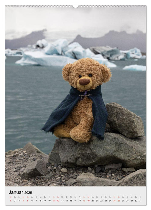 Travelling Teddy in Island (CALVENDO Wandkalender 2025)