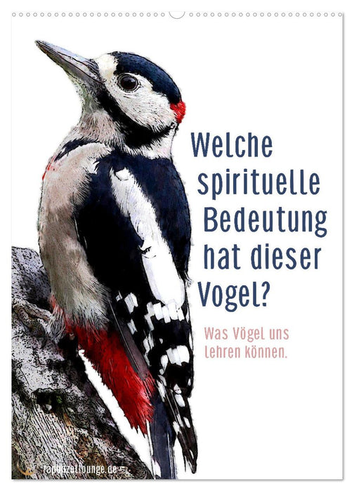 Welche spirituelle Bedeutung hat dieser Vogel? (CALVENDO Wandkalender 2025)