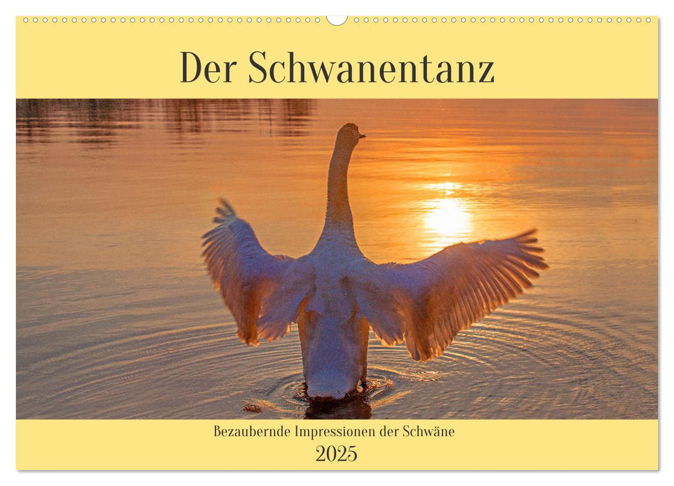Der Schwanentanz (CALVENDO Wandkalender 2025)