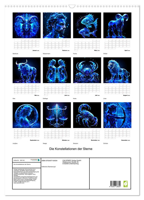Die Konstellationen der Sterne (CALVENDO Wandkalender 2025)