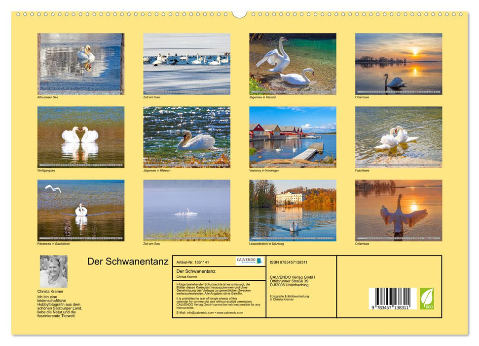 Der Schwanentanz (CALVENDO Premium Wandkalender 2025)