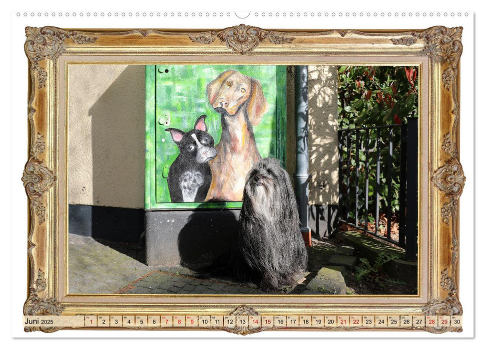 Hunde sind Kunst (CALVENDO Premium Wandkalender 2025)