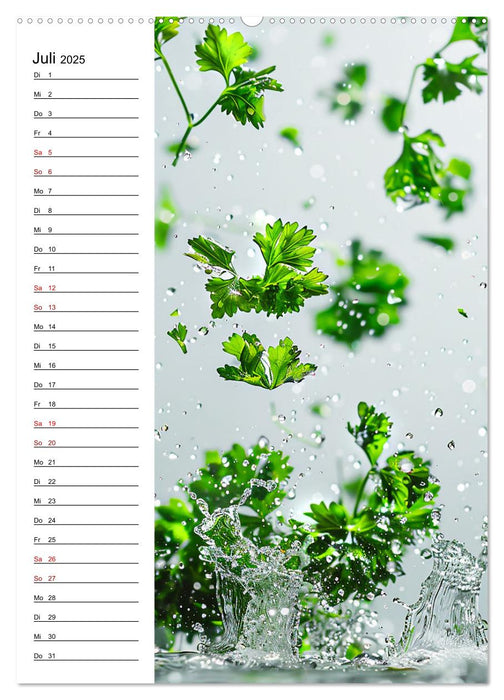 Kräuterfrische (CALVENDO Premium Wandkalender 2025)