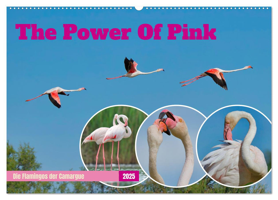 The Power Of Pink (CALVENDO Wandkalender 2025)